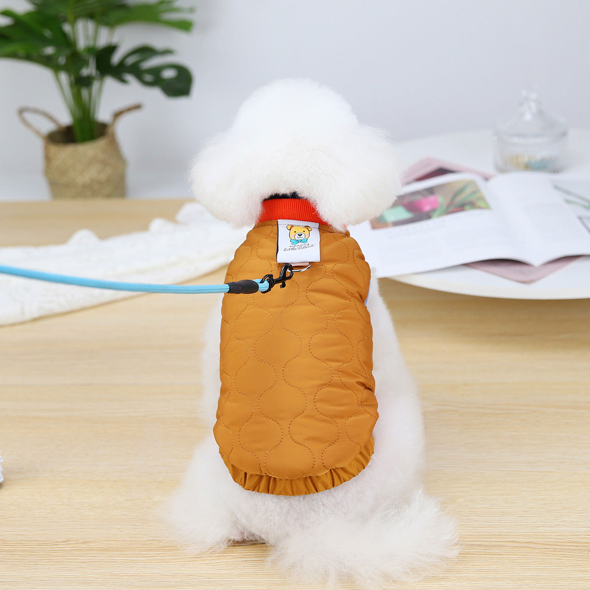 Velvet Puppy Vest