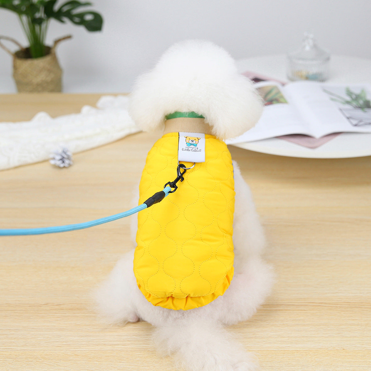 Velvet Puppy Vest
