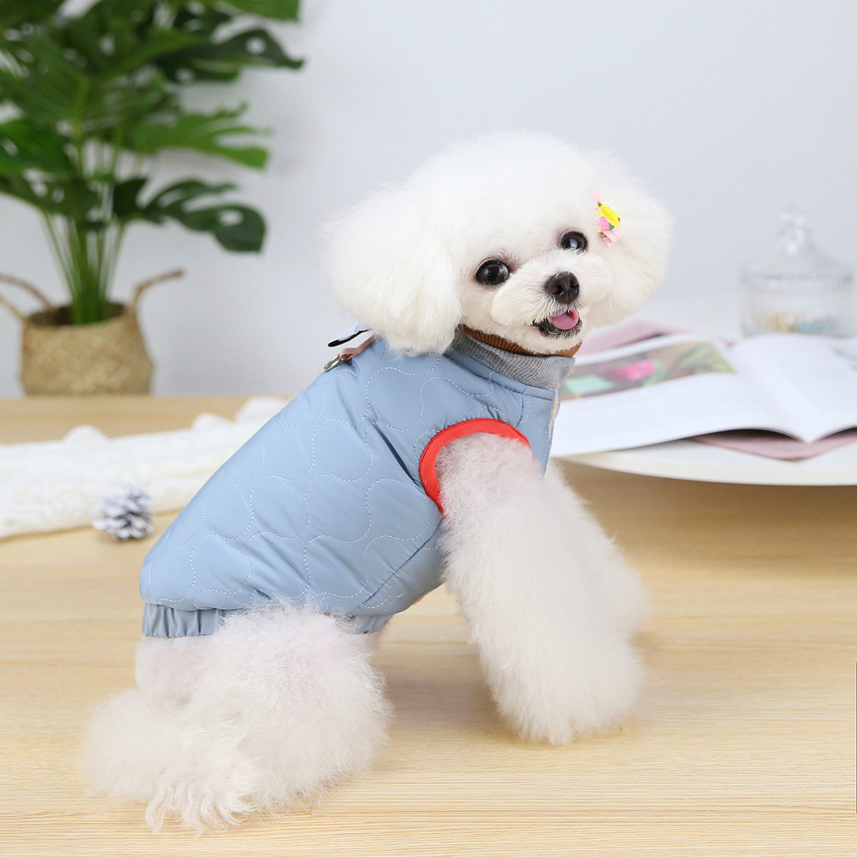 Velvet Puppy Vest